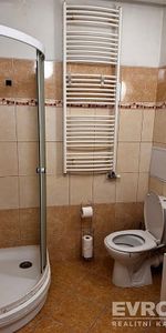 Pronájem bytu 1+kk 38 m² - Photo 3