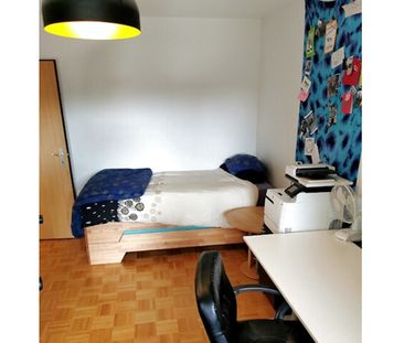 2½ Zimmer-Wohnung in Gümligen (BE), möbliert, auf Zeit - Foto 5