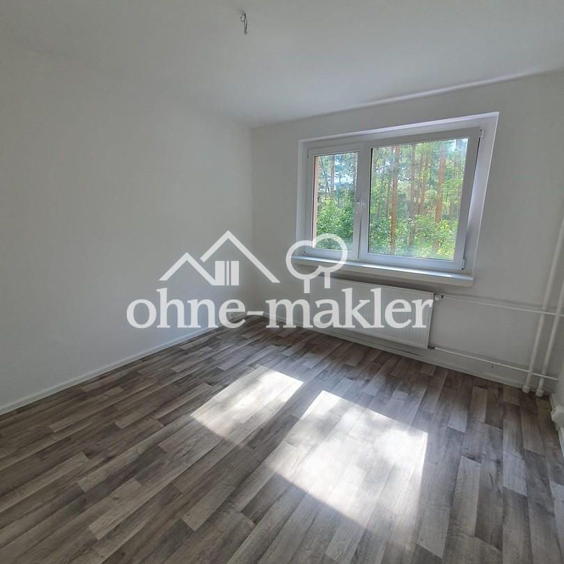 Erstbezug nach Sanierung! 3 Zi.Whg. mit Balkon in Walddrehna - Foto 1