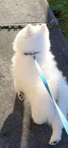 Canterbury - Photo 3