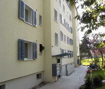 "ruhige, sonnige Lage" - Foto 6