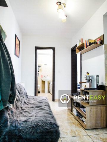 Apartament cu o camera de inchiriat langa UMF - Bulevardul Independentei - Fotografie 4