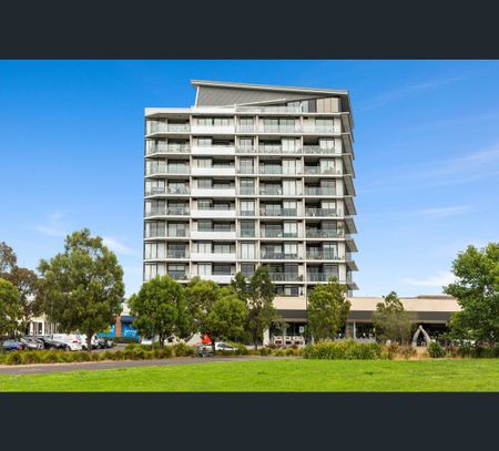 8/101 Lucerne Crescent, Alphington, Vic 3078 - Photo 3