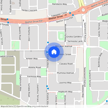 19 Nobilis Street, WA 6164, Beeliar