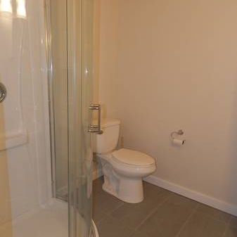 Studio-4902 Laurel Ave *HOLYWELL.CA* - Photo 4