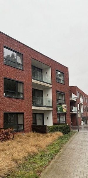Appartement te huur in Meeuwen voor € 865 met 1 slaapkamer - foto 1