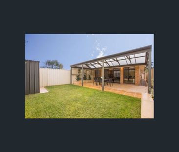 I’m bigger than I look! - Photo 2