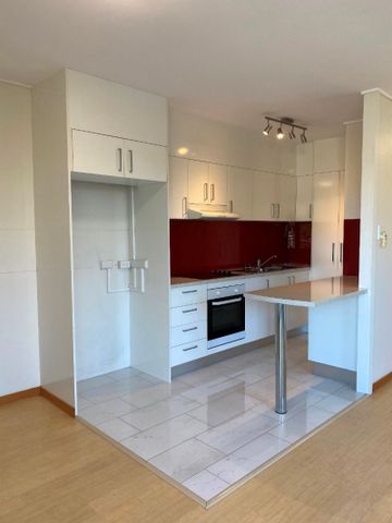 8/387 Cavendish Road, Coorparoo QLD 4151 - Apartment For Rent | Domain - Photo 5