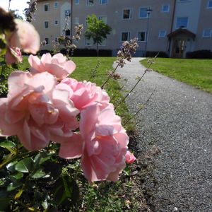 Johan skyttes väg 19 - Foto 3