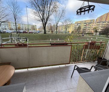 (Symbol 437162) - Zdjęcie 4