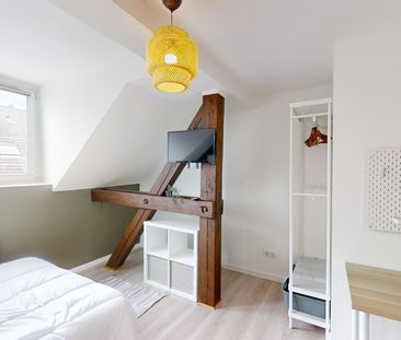 SAINTE ALOÎSE Roommate 5 Bedrooms at Strasbourg - Photo 4