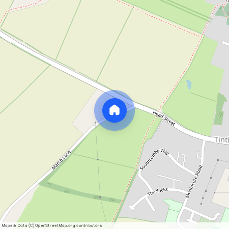 Tintinhull, Somerset