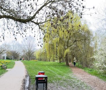 1 bedroom flat to rent - Photo 6