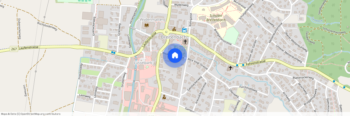 4226, Breitenbach, Alice Vogt-Strasse, 6