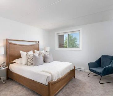 Adamar Manor — 1 Bedroom 1 Bath (1Bed1Bath-A2) - Photo 6