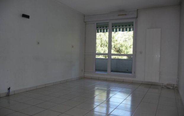 Location Appartement P2 Grenoble - Photo 1