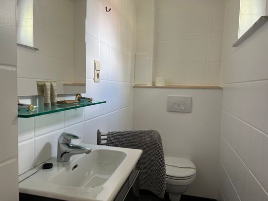 Schön eingerichtetes Studio in Shuman. - Foto 1