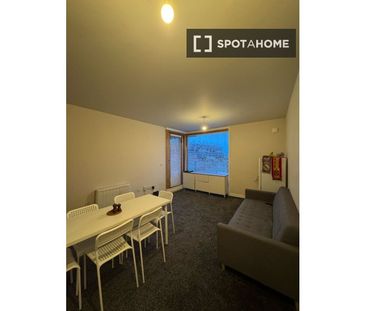 Shared room in a 2-bedroom apartment for rent in Ballybough, - Photo 1
