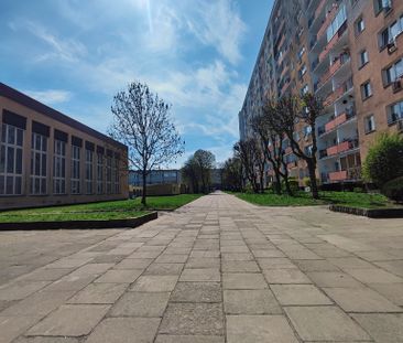 Przytulna kawalerka na wynajem - Photo 1