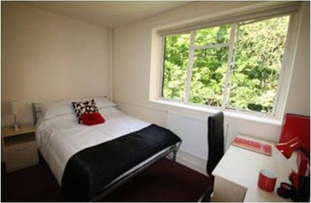 STUDENT ACCOMMODATION - SUNBRIDGE RD BD1**1 BED EN-SUITE**£65PW - Photo 5