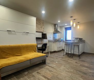 Location Appartement 1 pièce 26m² DARDILLY 69570 - Photo 2