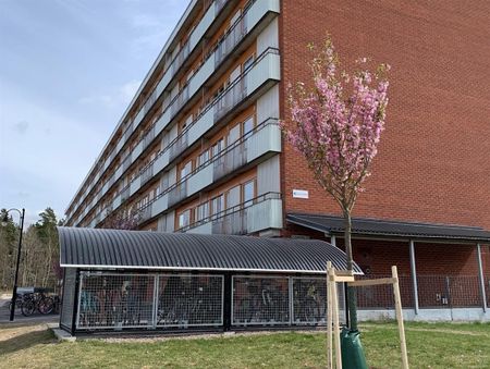 Trädgårdsgatan 50 E - Foto 5