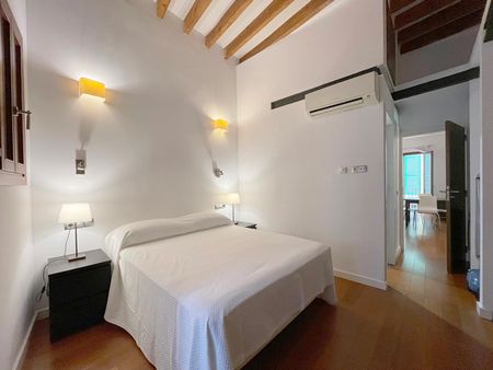 Elegante apartamento amueblado de un dormitorio zona La Lonja, Palma. - Photo 3