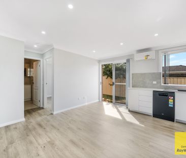 Brand New Everything! - Photo 6