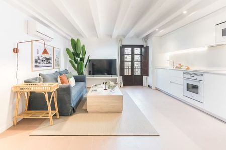 Carrer den Xuclà, Barcelona, Catalonia 08001 - Photo 4