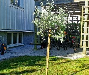 Jaktgatan, Göteborg - Foto 3