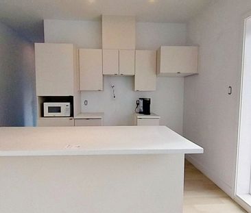 Condo for rent, Montréal (Mercier/Hochelaga-Maisonneuve) - Photo 2