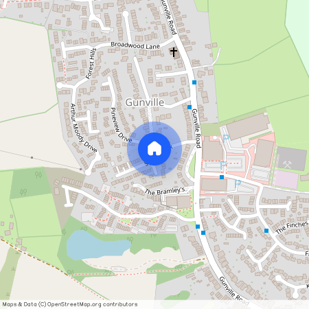 Spring Walk, Newport