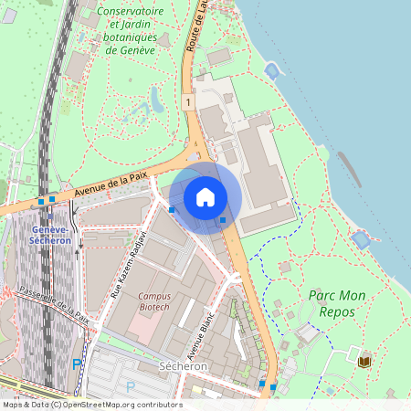 Rue de Lausanne 145, 1202 Genève