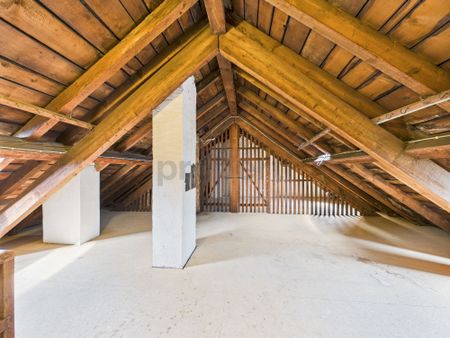 Charmante 7-Zimmer Wohnung im Herzen von Basel - Photo 3