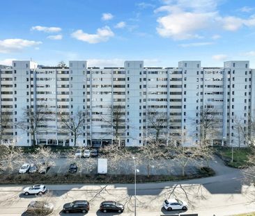 2.5 Zimmer, 53 m², 2. Stock - Foto 6