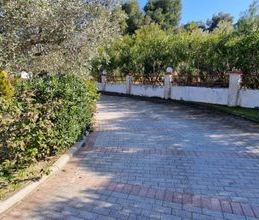 Μονοκατοικία για ενοικίαση - Παλλήνη, - Φωτογραφία 5