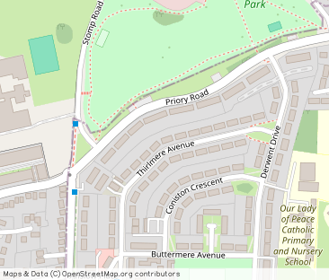 Thirlmere Avenue - Photo 1