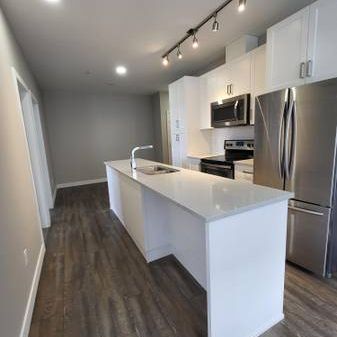 Modern Upscale Living at Central Park - North Village - Photo 3