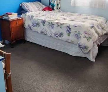 Small But Beautiful - Photo 3