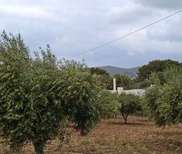 Διαμέρισμα για ενοικίαση - Πάρος, - Photo 5