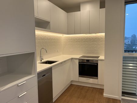Aroha Brand New One Bedroom One Bathroom Apartment - Photo 3