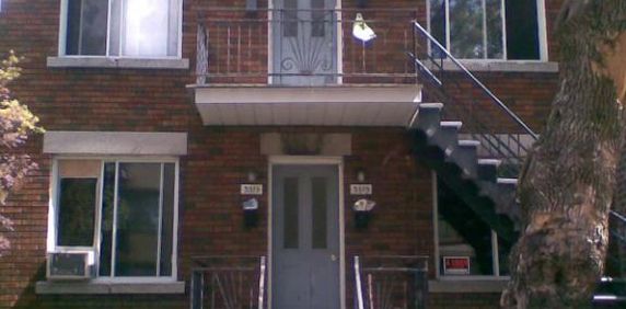 Charmant 3 ½ au 2e étage – Rosemont | Métro Joliette | Animaux acceptés 🐾 - Photo 2