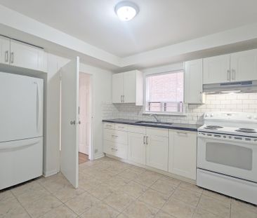For Lease - 242 Robina Avenue Unit# Main, Toronto, Ontario - Photo 6