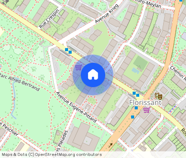 7 room apartment in Geneva - Photo 1