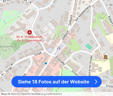 *Erstbezug nach Komplettsanierung! 2-Zi-Wohnung mit neuer Einbauküche* - Foto 1