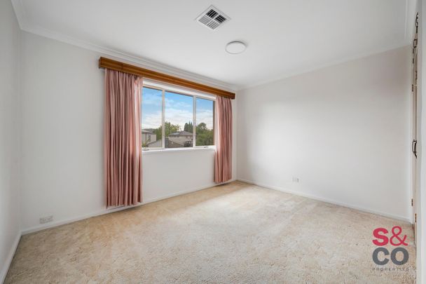 49 Collings Street, Pearce ACT 2607 - House For Rent | Domain - Photo 1