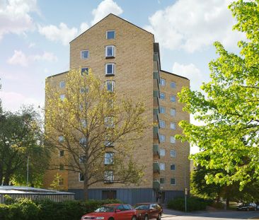 Vitmåragatan, Västerås - Foto 4