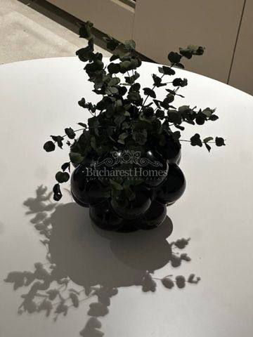 Up-Site New One Bedroom, Floreasca - Fotografie 3