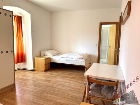 1 Zimmer Apartment mit 1 Bett mit Dusche und WC in Fischamend 420,-- Euro monatliche Pauschale sofort verfügbar - Photo 2