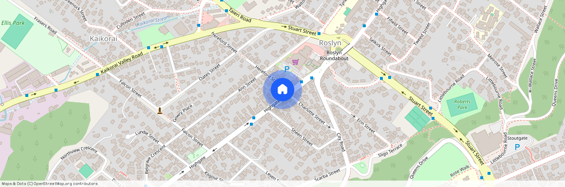 255 Highgate, Roslyn, Dunedin